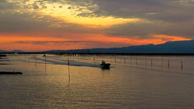 九州有明海の夕暮れ風景　有明海の海苔場を行き交う漁船　