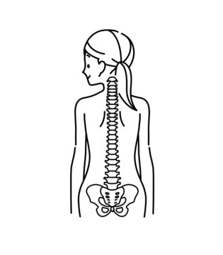 女性の背中と背骨のイメージ-黒