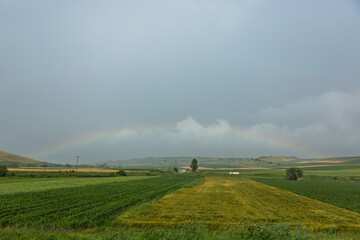 電車の車窓から見えるルーマニアの牧草地の風景と空にかかる虹