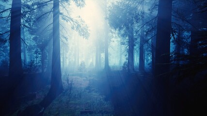 Sunshine with Blue Foggy Forest