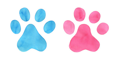 Animal paw prints in light blue and pink colors. Cute male and female symbol. Hand drawn watercolour sketch on white background, isolated clip art elements for design, flyer, banner, poster, stickers. - obrazy, fototapety, plakaty