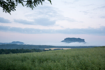 Foggy Mountain Landscape At Dawn