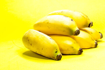Bunch of apple bananas (Musa acuminata) on a yellow background. Photo produced in a studio