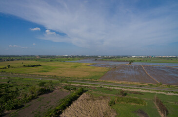 Obraz premium aerial view from flying drone of Field rice with landscape green pattern nature background, top view field rice 