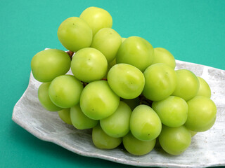 ブドウ　シャインマスカット