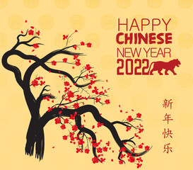 Fototapeta na wymiar Happy new year 2022 - chinese new year. Year of the Tiger. Lunar New Year banner design template.