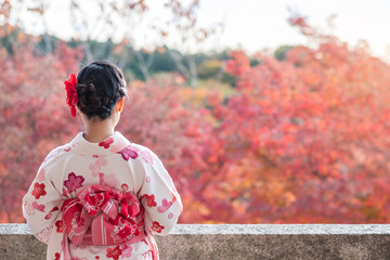 young woman tourist wearing kimono enjoying with colorful leaves in temple, Kyoto, Japan. Asian...