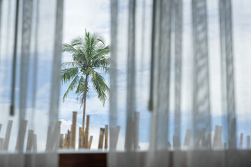 Coconut tree behind open white curtain with blue sky background