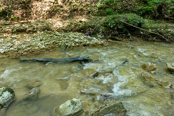 Mountain rivers originating high in the mountains, a journey through the canyon of the river on a sunny summer day, under the canopy of the forest, not well-traveled tourist routes.