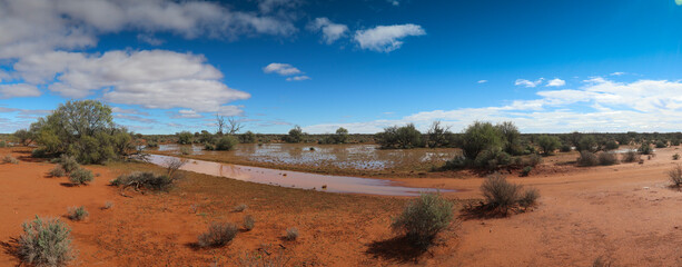 Fototapeta na wymiar Panoramamic view of the desert in the Australian outback after heavy rain showing large pools of water under a blue sky with whispy clouds