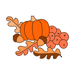 Cartoon autumn leaves, pumpkin, acorns rowan berries. Hand drawn vector illustration