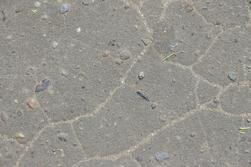 Texture of gray cracked asphalt