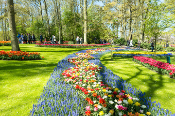 Blue Lined Flowerbed Design
