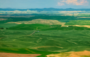 Palouse, Wheat fields , WA