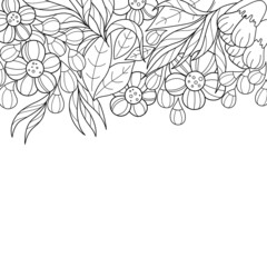 Beautiful contoured floral background. Black and white pattern of leaves and flowers, stylized design elements.