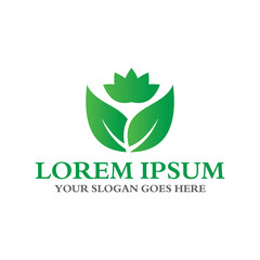 leaf logo , environment logo vector