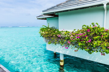 water bungalows in the Maldives