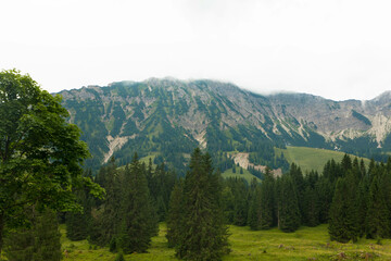 Idyllic landscape in the bavarian alps with view of the mountain sorgschrofen. Fresh green meadows and fir trees on a cloudy day. Mountain peaks in the background. Tannheimer valley, Austria