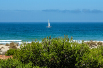 Obraz na płótnie Canvas pleasure boat passing in front of the Barrosa beach in Sancti Petri, Cadiz