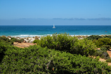 pleasure boat passing in front of the Barrosa beach in Sancti Petri, Cadiz