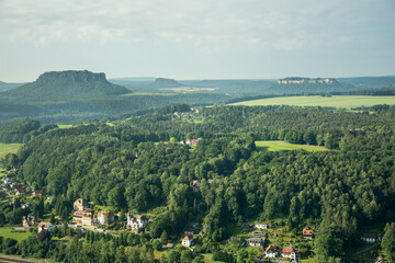 Densely Populated Trees Backed By Mountain