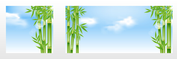 Realistic bamboo tree landscape scenery background with could, sky, sunrays, sunburst element design
