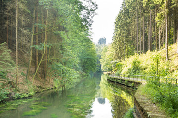Fototapeta na wymiar Path Leading Into Saxon Switzerland National Park