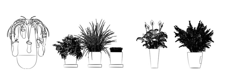 Fototapeta premium flowers hand drawing and sketch black and white.