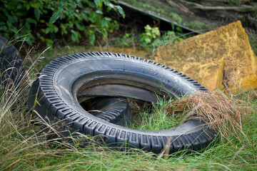 A discarded tire in a meadow near the woods.