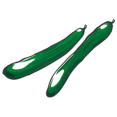 2本の手書き風新鮮きゅうり