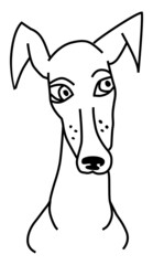 Head of a cheerful dog by black contour line, sketch