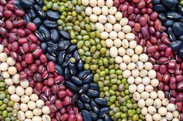 Dry organic cereal and grain seed stripe background consisted of soybean, red, black, and mung bean seed. Concept of diet or healthy food ingredient and agricultural product