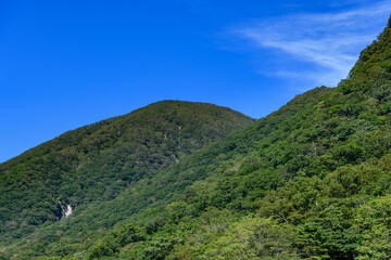 Fototapeta na wymiar 初秋の黒檜山