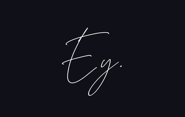 Stylish and elegant letter EY with dark blue background signature logo for company name or initial 