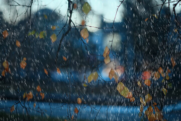 abstract rain background park gloomy drops, seasonal concept sad