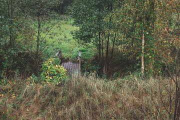 Footbridge over a small ravine, flooring through a ditch in the forest