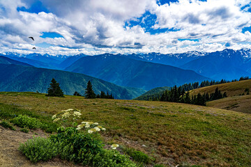 Naklejka na ściany i meble A view of the snow capped mountains from Hurricane Ridge in Olympic National Park