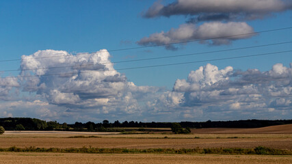 soft clouds, blue sky, glowy meadow, long shadows, Latvia landscape with electric wires