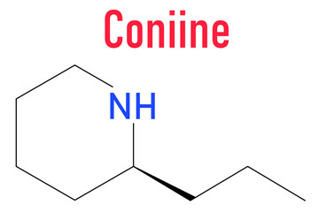 Coniine herbal toxin molecule. Present in poison hemlock (Conium maculatum). Skeletal formula.