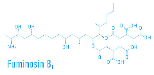 Fumonisin B1 mycotoxin molecule. Fungal toxin produced by some Fusarium molds, often present in corn and other cereals. Skeletal formula.