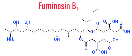 Fumonisin B1 mycotoxin molecule. Fungal toxin produced by some Fusarium molds, often present in corn and other cereals. Skeletal formula.
