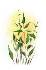 Watercolor spring illustration of willow shoots. Tender green twigs with growing green leaves against yellow blurry stain of sun on gray pixel background. Young spring vegetation