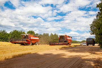 Fototapeta premium Combine harvesters in the field for harvesting wheat.