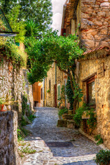 Fototapeta na wymiar Narrow Street in Coaraze, Provence, France