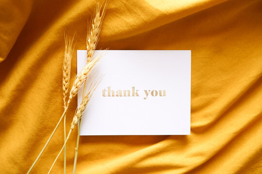 Thank you card on yellow fabric with wheat stems. Elegant minimalist composition in natural sun light. Sustainable design. Special thank you note.