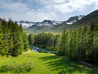 Fototapeta premium Leyningsa river flowing through forest landscape on a beautiful summer day.
