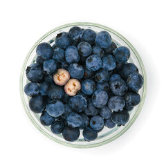fresh blueberries from a farm in europe in a bowl from a series of fruits