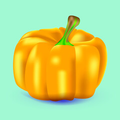 Realistic vector illustration. Pumpkin on a uniform background