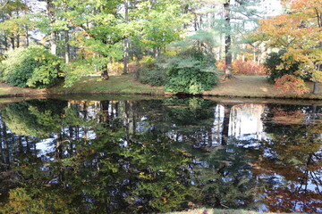 Obraz na płótnie Canvas Park and Pond