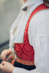 Girl woman traditional bunad folk costume silver cultural heritage